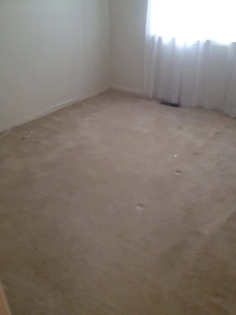 Bedroom with worn wall to wall carpet before the job started