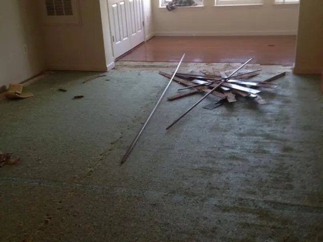 Room with old green carpet and torn out boards on the floor
