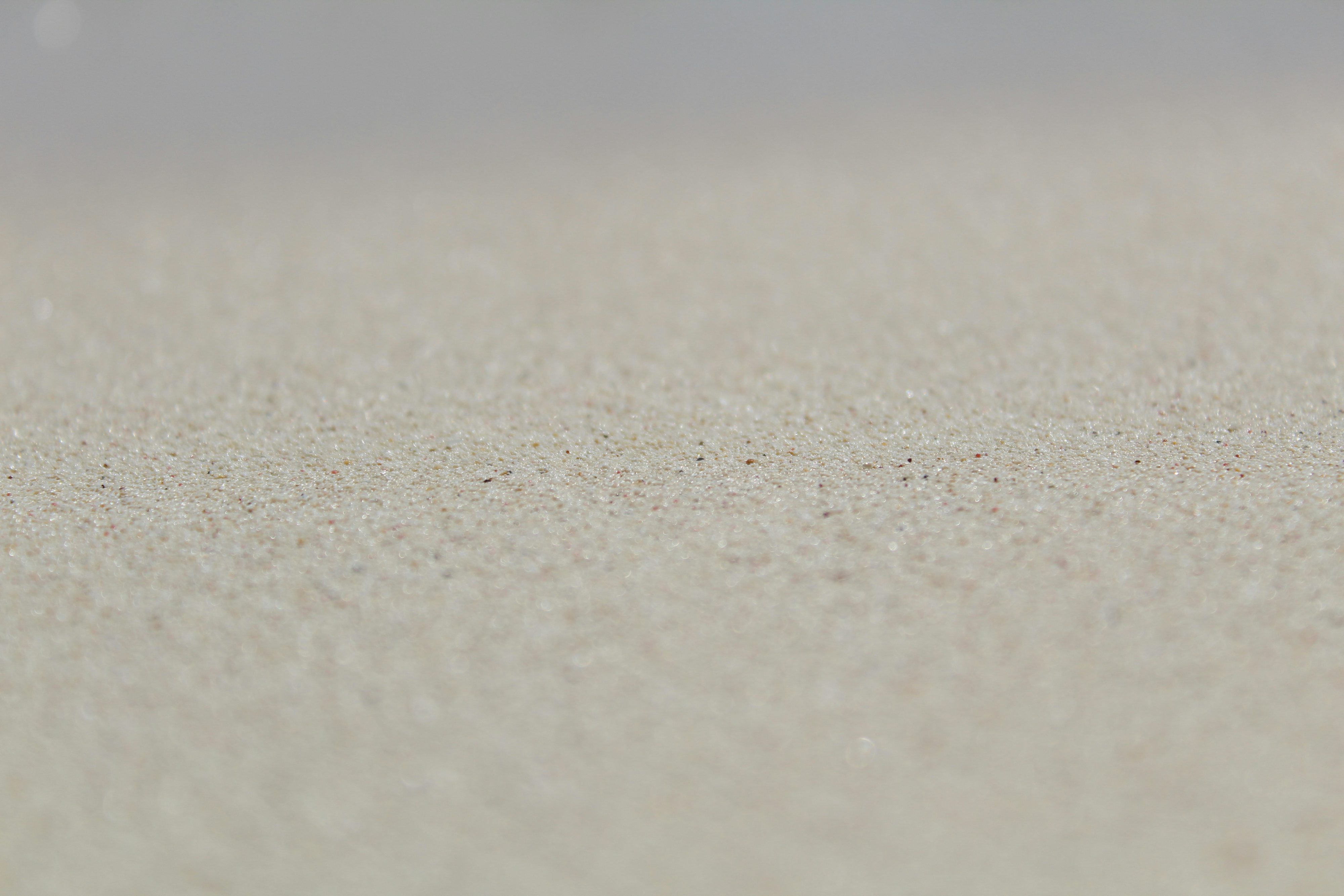 The Complete Guide to Carpet Installation: What You Need to Know