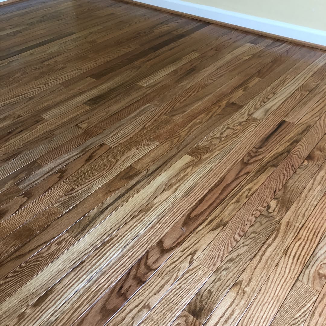 Choosing the Right Hardwood Species for Your Home’s Traffic Level