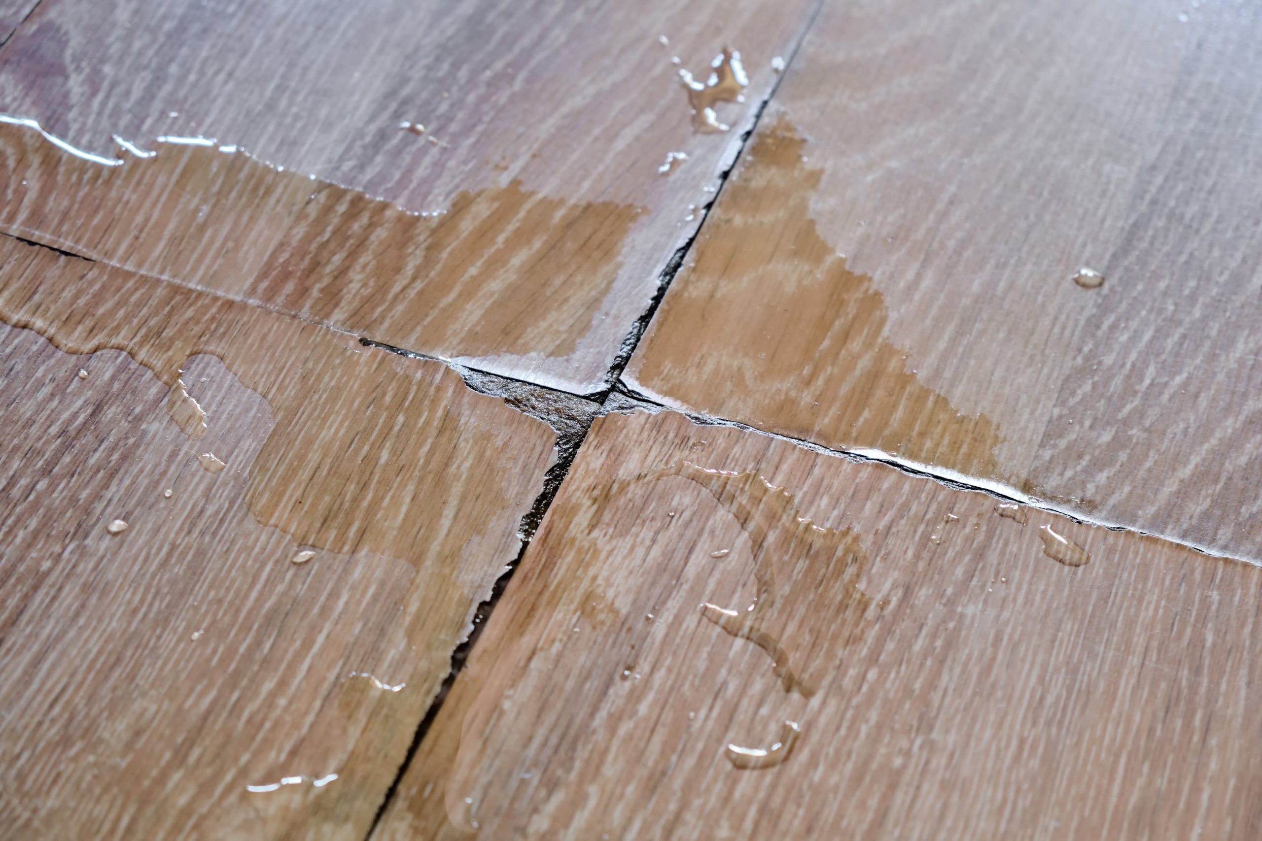 Professional Advice on Hardwood Water Damage Repair: Save or Replace?