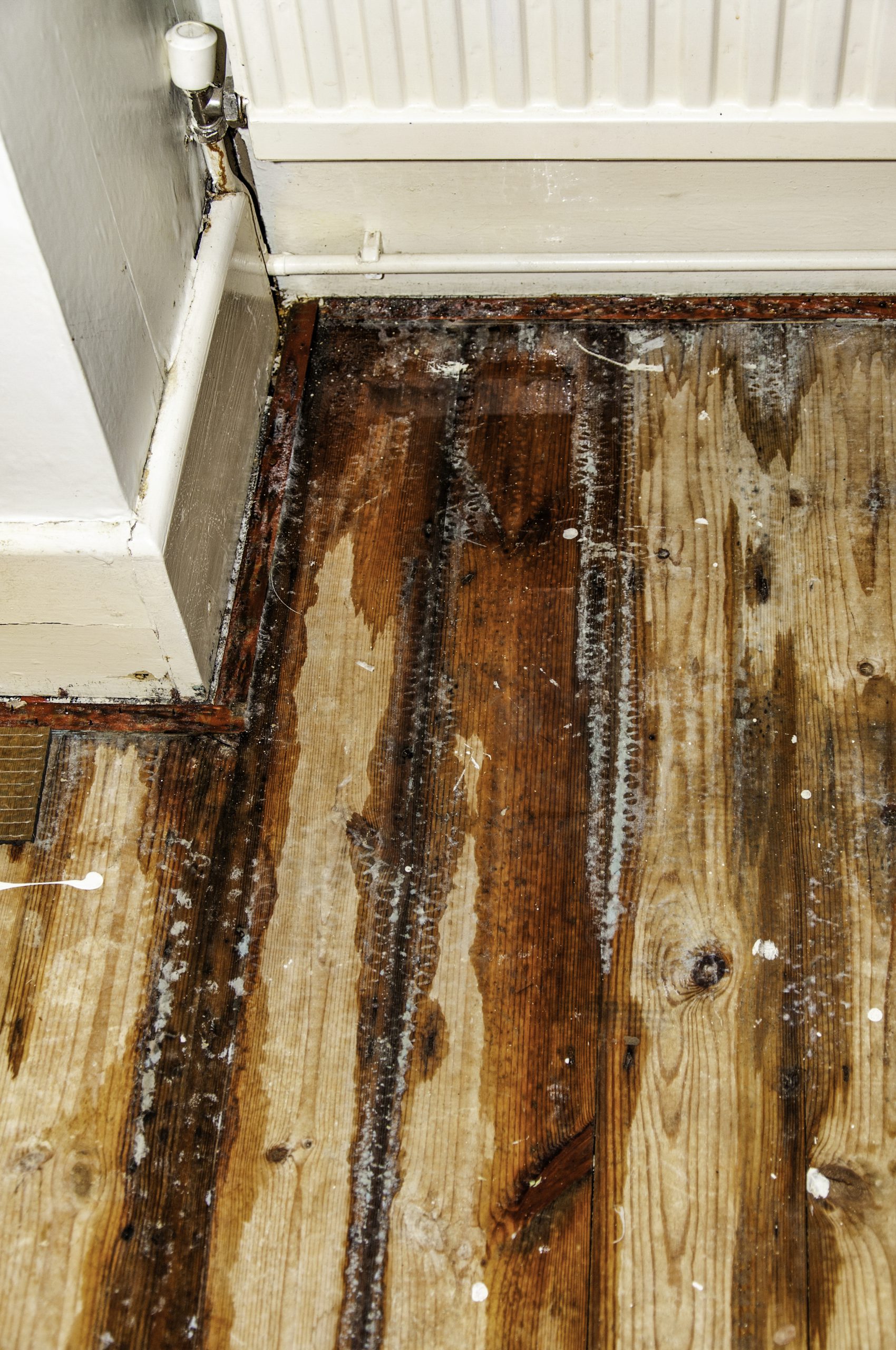 Professional Advice on Hardwood Water Damage Repair: Save or Replace?