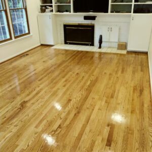 43751069 241062149895818 3381143686138184235 n