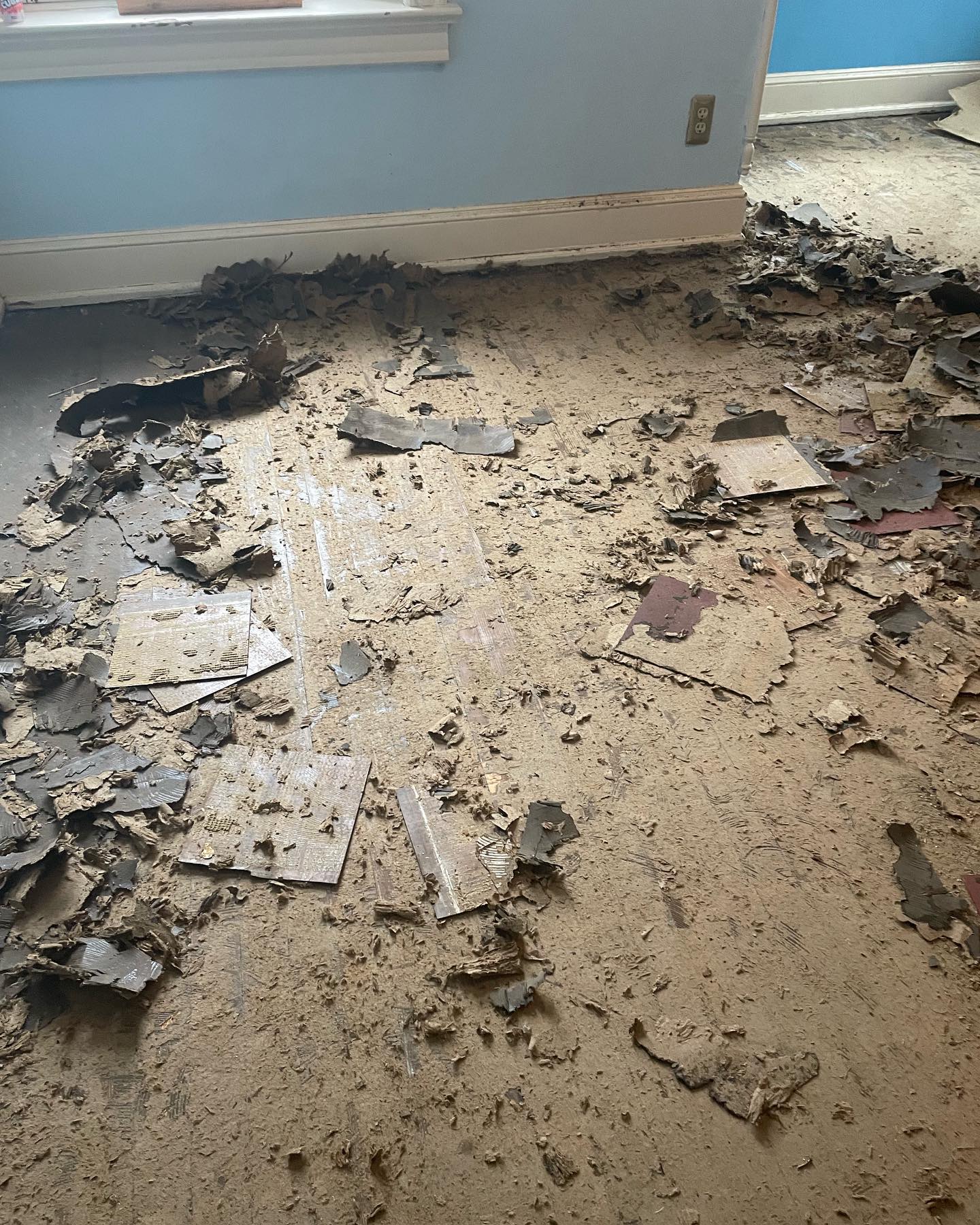 Found Hardwood Under Your Carpet? Here’s How We Restore It to Its Former Glory